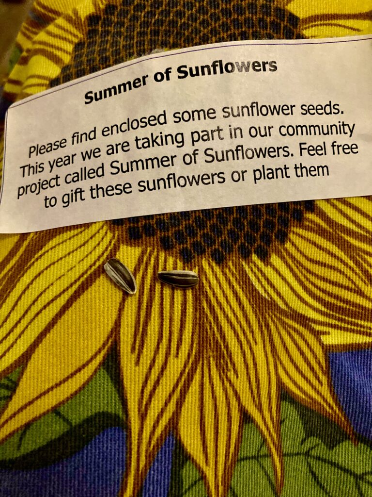 Summer of sunflower